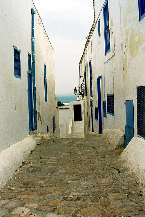 La Goulette: Carthage, Sidi Bou Said and Tunis